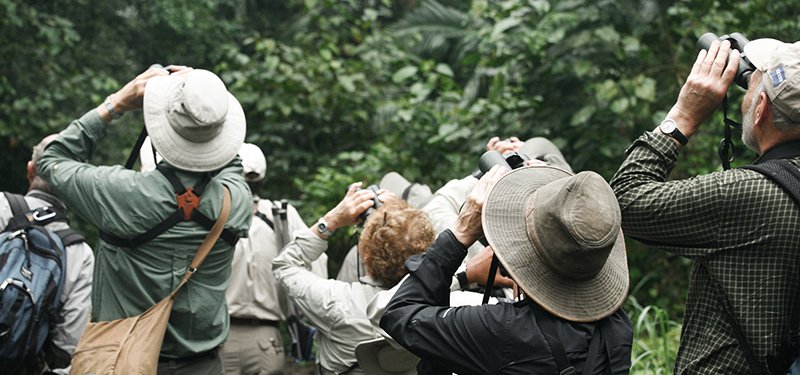BestBirdingGuidesInUganda